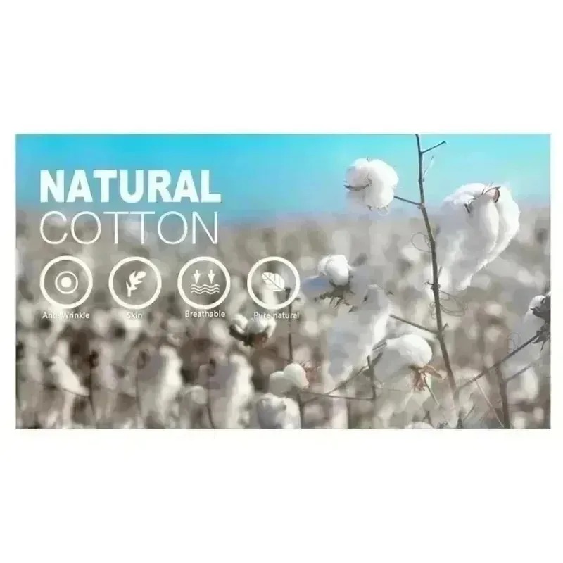 New American Luxury Brand T-Sh - огляд і ціна Summer Clothing Brands For Women